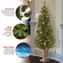 4ft. Pre-Lit Montclair Spruce Entrance Artificial Christmas Tree With Clear Lights -Michaels X-Mas Decor D205091S 16