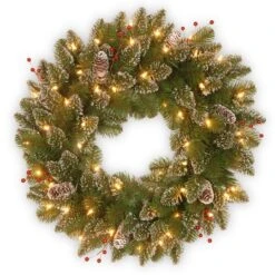 24" Glittery White Edged Cones & Red Berries Mountain Spruce Wreath With Warm White LED Lights