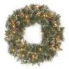 24" Glittery Bristle® Pine Wreath With Clear Lights -Michaels X-Mas Decor D206644S 1