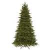 7.5ft. Pre-Lit Feel-Real® Northern Frasier Fir Artificial Christmas Tree, Clear Lights 2 7.5ft. Pre-Lit Feel-Real® Northern Frasier Fir Artificial Christmas Tree, Clear Lights -Michaels X-Mas Decor D228507S 1