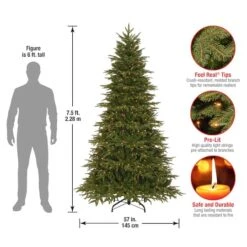 7.5ft. Pre-Lit Feel-Real® Northern Frasier Fir Artificial Christmas Tree, Clear Lights -Michaels X-Mas Decor D228507S 15