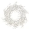 22" White Glittered Plastic Twig Wreath 2 22" White Glittered Plastic Twig Wreath -Michaels X-Mas Decor D233795S 1