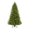 7.5ft. Pre-Lit Glacier Fir Artificial Christmas Tree, Clear Lights -Michaels X-Mas Decor D248428S 20