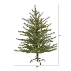 4ft. Pre-Lit Vancouver Mountain Pine Artificial Christmas Tree With Clear Lights -Michaels X-Mas Decor D251309S 2