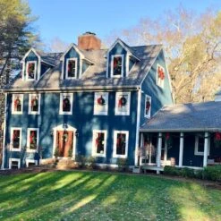 Northlight 24" Canadian Pine Artificial Christmas Wreath 20 Northlight 24" Canadian Pine Artificial Christmas Wreath -Michaels X-Mas Decor D253771S 5