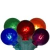 Northlight 20ct. Multicolor G40 Globe String Lights -Michaels X-Mas Decor D254017S 1