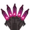 Northlight 100ct. Mini Christmas String Lights With Black Wire Purple