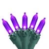 Northlight 50ct. LED Mini Christmas String Lights With Green Wire Purple -Michaels X-Mas Decor D254052S 1
