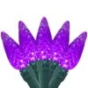 Northlight 70ct. LED Faceted C6 Christmas String Lights Purple -Michaels X-Mas Decor D254082S 1