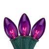 Northlight 25ct. C9 Christmas String Lights With Green Wire Purple -Michaels X-Mas Decor D254100S 1