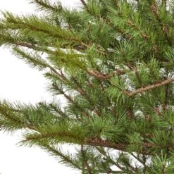 7ft. Unlit Vancouver Mountain Pine Artificial Christmas Tree -Michaels X-Mas Decor D256185S 3