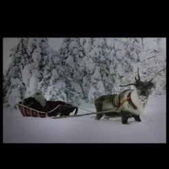 Northlight Fiber Optic Lighted Santa In His Sleigh Canvas Wall Art 8 Northlight Fiber Optic Lighted Santa In His Sleigh Canvas Wall Art -Michaels X-Mas Decor D361840S 2