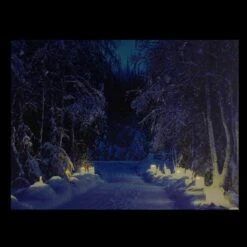 Northlight LED Lighted Nighttime In The Woods Winter Scene Canvas Wall Art -Michaels X-Mas Decor D361851S 3