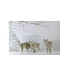 Northlight Winter Woods Deer Fiber Optic Lighted Canvas Wall Art