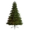 8ft. Pre-Lit South Carolina Spruce Artificial Christmas Tree, Clear Lights