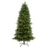 7ft. Pre-Lit South Carolina Fir Artificial Christmas Tree, Clear Lights