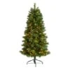 5ft. Pre-Lit West Virginia Mountain Pine Artificial Christmas Tree, Clear Lights
