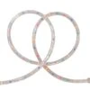 Northlight 18ft. Multi-Colored Outdoor Christmas Rope Lights -Michaels X-Mas Decor D491493S 1
