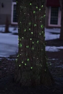 Northlight 2ft. X 8ft. LED Tree Trunk Wrap Christmas Net Lights Green 12 Northlight 2ft. X 8ft. LED Tree Trunk Wrap Christmas Net Lights Green -Michaels X-Mas Decor D491511S 3