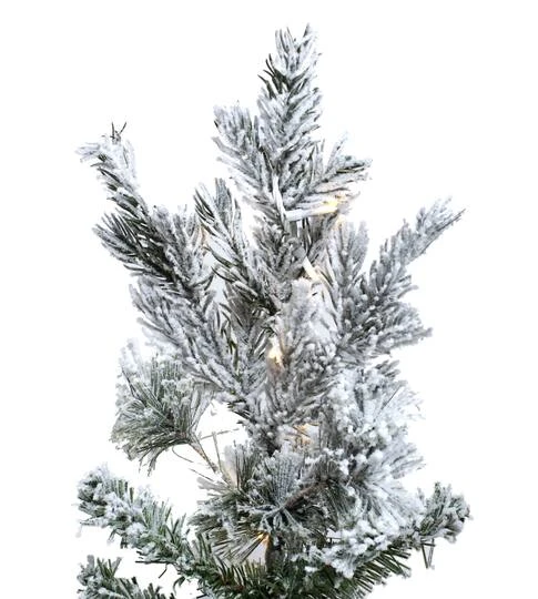 6.5ft. Pre-Lit Flocked Sierra Fir Artificial Christmas Tree, Pure White Dura-Lit® LED Lights 6 6.5ft. Pre-Lit Flocked Sierra Fir Artificial Christmas Tree, Pure White Dura-Lit® LED Lights - Image 4