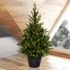 4ft. Pre-Lit Reeder Pine Artificial Christmas Tree, White LED Lights -Michaels X-Mas Decor D522665S 2