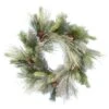 24" Unlit Frosted Myers Pine Artificial Christmas Wreath 2 24" Unlit Frosted Myers Pine Artificial Christmas Wreath -Michaels X-Mas Decor D575329S 1