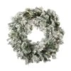 24" Pre-Lit Flocked Kiana Artificial Christmas Wreath, Warm White Dura-Lit® LED Mini Lights -Michaels X-Mas Decor D575349S 1