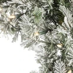 24" Pre-Lit Flocked Kiana Artificial Christmas Wreath, Warm White Dura-Lit® LED Mini Lights -Michaels X-Mas Decor D575349S 2