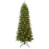 10ft. Pre-Lit Fraser Fir Artificial Christmas Tree, Color Select LED Lights -Michaels X-Mas Decor D659685S 11
