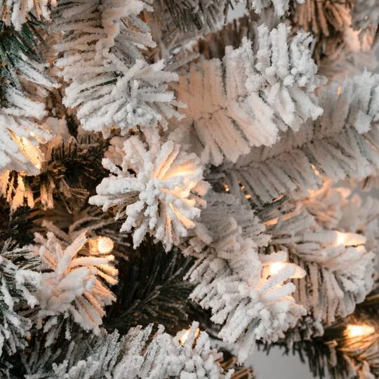 7.5ft Pre-Lit Acacia Flocked Artificial Christmas Tree, Clear Lights 6 7.5ft Pre-Lit Acacia Flocked Artificial Christmas Tree, Clear Lights - Image 4