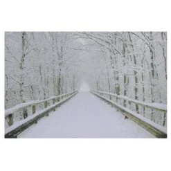 Northlight Winter Wooden Bridge Fiber Optic Lighted Canvas Wall Art