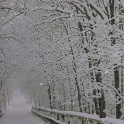 Northlight Winter Wooden Bridge Fiber Optic Lighted Canvas Wall Art -Michaels X-Mas Decor M20007883 2