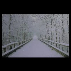 Northlight Winter Wooden Bridge Fiber Optic Lighted Canvas Wall Art -Michaels X-Mas Decor M20007883 3